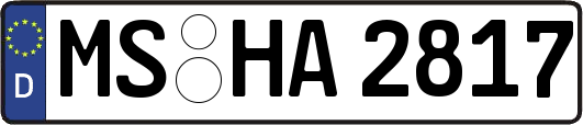 MS-HA2817