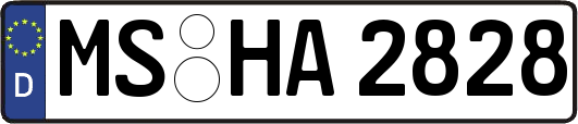 MS-HA2828