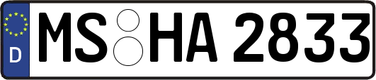 MS-HA2833