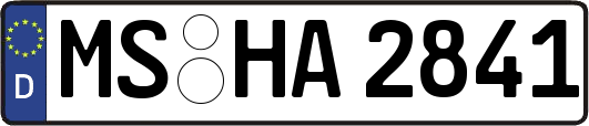MS-HA2841