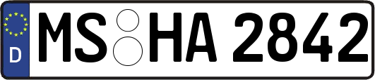 MS-HA2842