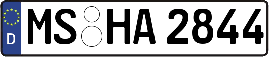MS-HA2844