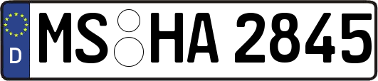 MS-HA2845