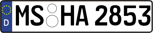 MS-HA2853