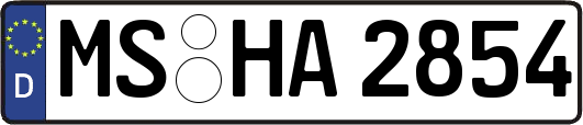 MS-HA2854