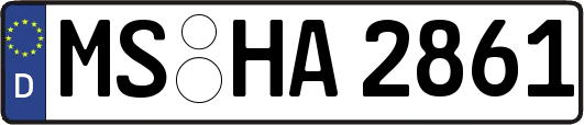 MS-HA2861