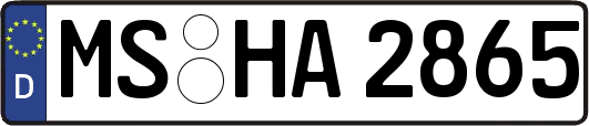 MS-HA2865
