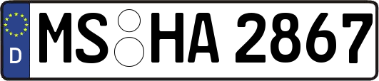 MS-HA2867