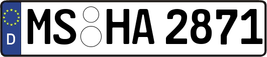 MS-HA2871