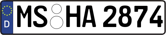 MS-HA2874