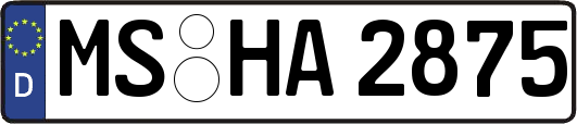 MS-HA2875