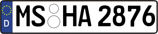 MS-HA2876