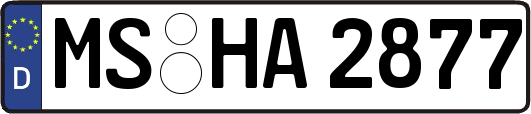 MS-HA2877