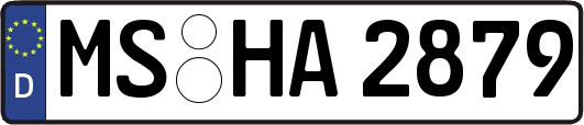 MS-HA2879