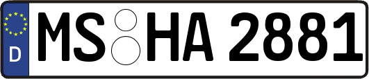 MS-HA2881