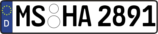 MS-HA2891