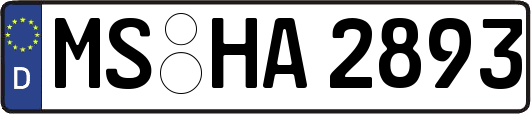 MS-HA2893
