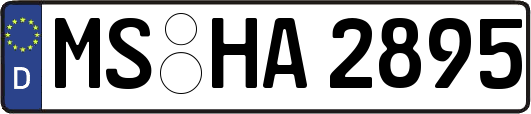 MS-HA2895