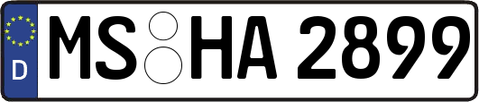 MS-HA2899