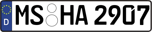 MS-HA2907