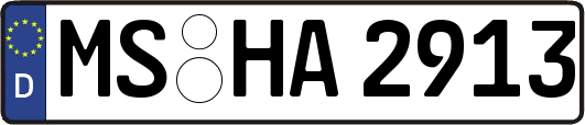 MS-HA2913
