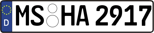 MS-HA2917