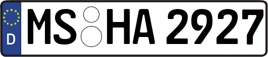 MS-HA2927