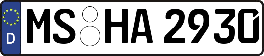 MS-HA2930