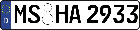 MS-HA2933