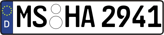 MS-HA2941