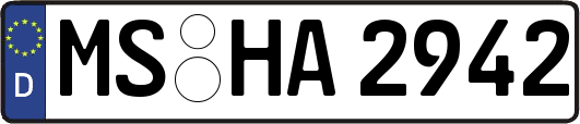 MS-HA2942
