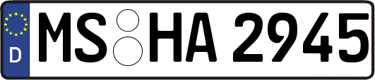 MS-HA2945