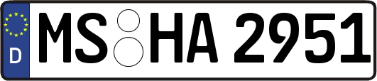 MS-HA2951