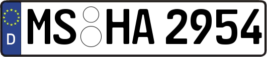 MS-HA2954