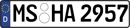 MS-HA2957