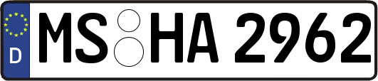 MS-HA2962