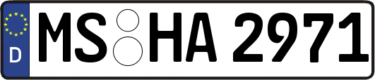 MS-HA2971