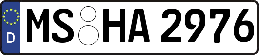 MS-HA2976