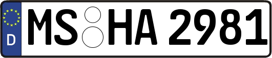 MS-HA2981