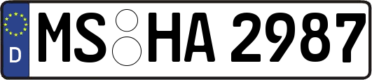 MS-HA2987