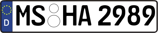 MS-HA2989