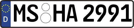 MS-HA2991