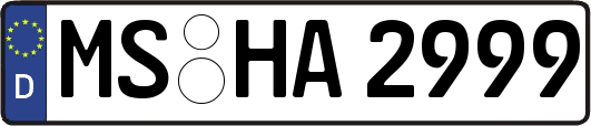 MS-HA2999