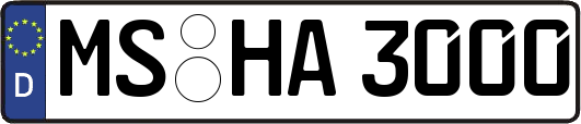 MS-HA3000
