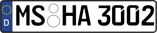 MS-HA3002