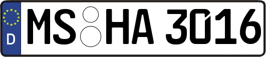 MS-HA3016
