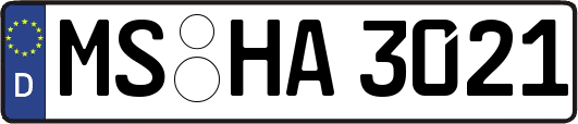MS-HA3021