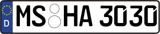 MS-HA3030