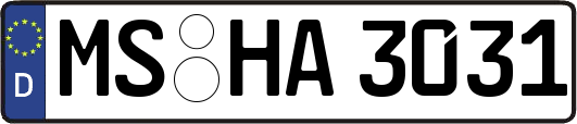 MS-HA3031