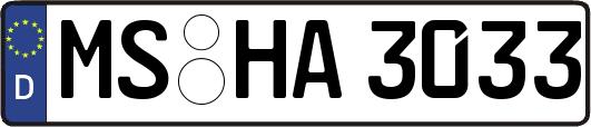 MS-HA3033